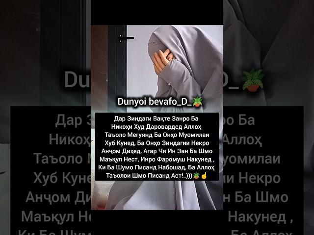 #падар #модар #зиндаги #оила #сабр #шикаст #хаёт _)))🪴