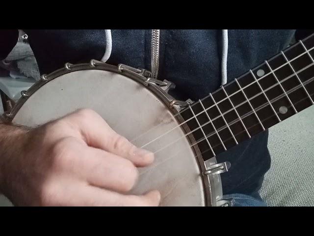 Needle Case in 2-Finger Style Banjo