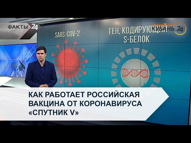 Как работает российская вакцина от коронавируса «Спутник V»