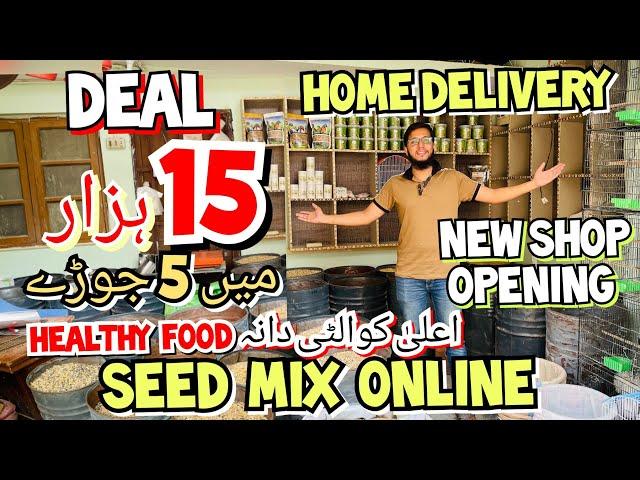 Deal 15 Hazar 5 Pairs | Albino RE | New Shop Opening | Seed Mix Online | Home Delivery