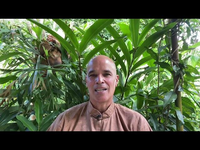 Cosmos Qigong | The Art of Developing Energy | Grandmaster Wong Kiew Kit