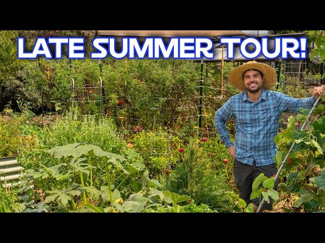 End Of Summer Garden Tour | The Good, The Bad, and The Ugly