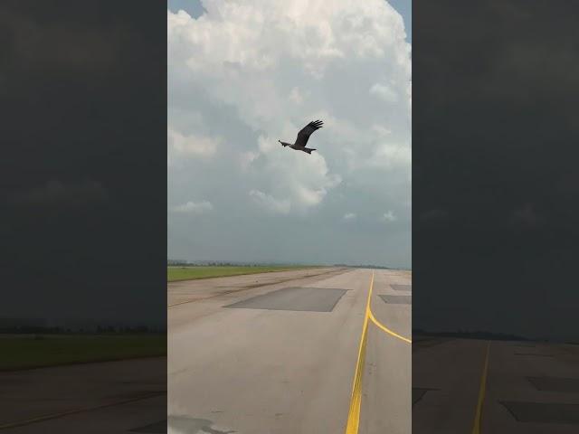 Daily Aviation Moments Airplane & helicopters- part 5 #shorts