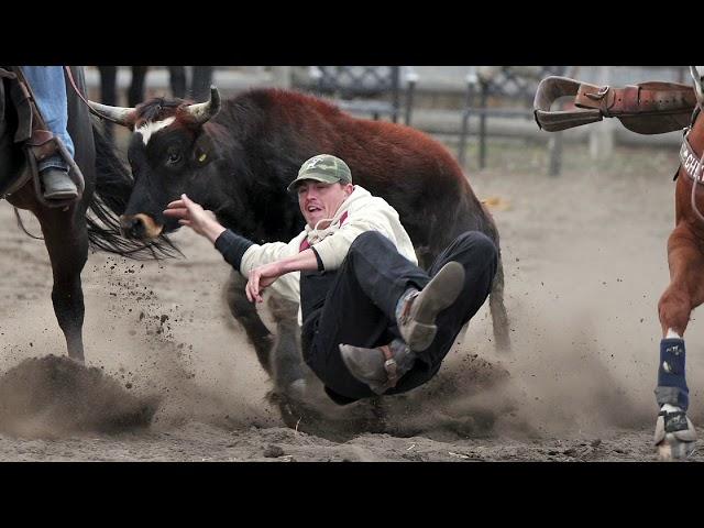 Steer wrestling brothers