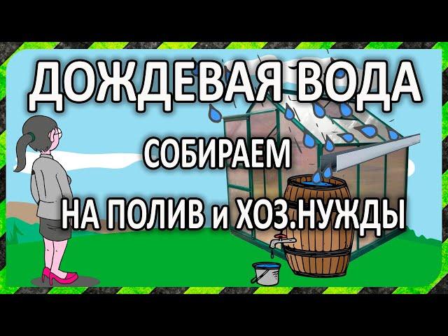 Сбор дождевой воды для полива и хозяйственных нужд