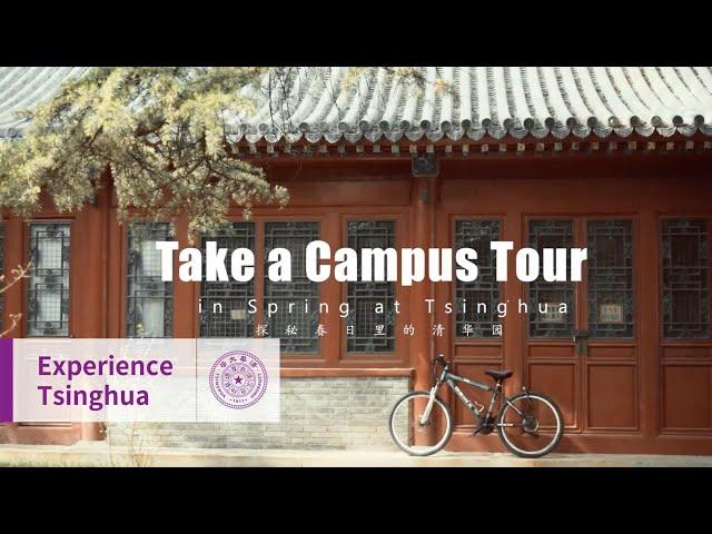 Take a campus tour at Tsinghua in spring