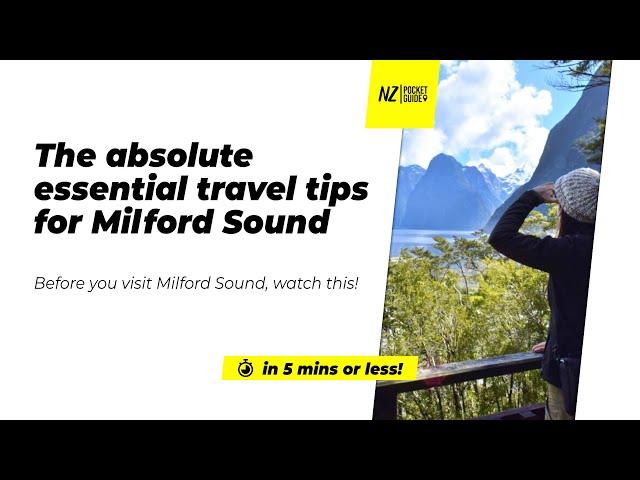 ️ The absolute essential travel tips for Milford Sound NZ - NZPocketGuide.com