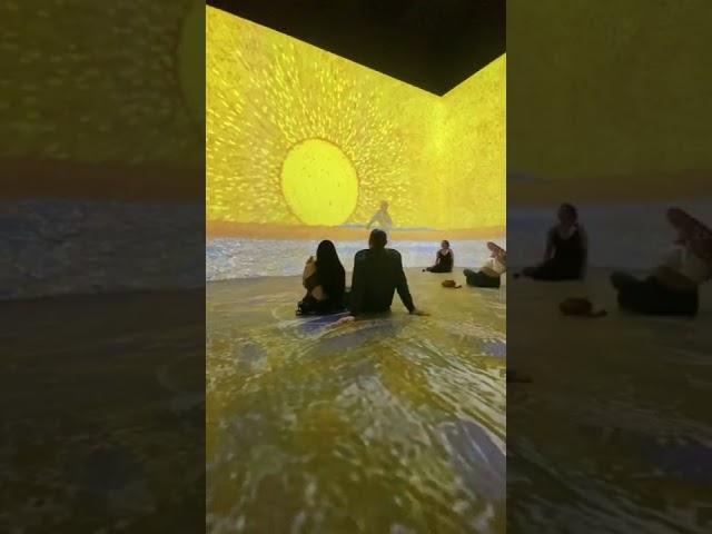 Van Gogh Immersive Experience - Scottsdale, Arizona