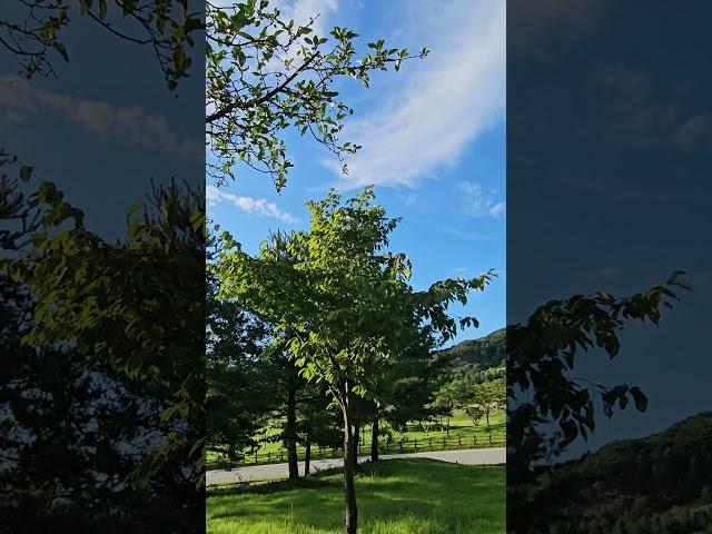 #Fall #Sky #가을 이다 시원한 가을바람이 분다