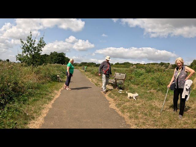 Relaxing London Nature Walk Along Idyllic Welsh Harp Reservoir ASMR