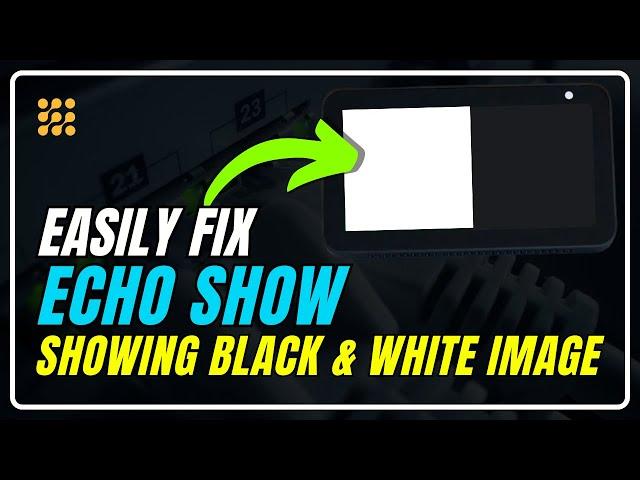Fixing Amazon Echo Show Black & White Image | Fix Echo Show Black & White Screen- Quick Solutions!