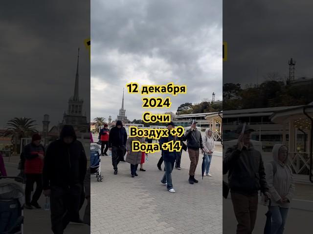 Вот такая зима в Сочи #сочионлайн #сочи #сочисейчас