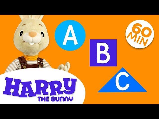 Learn New Words with Harry | Learn English Vocabulary for Kids Compilation | Harry the Bunny