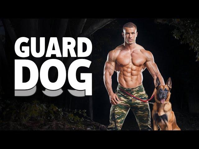 FEARLESS Belgian Malinois Protect Your Family from Harm? | Guard Dogs | Dog Training