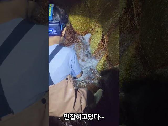 7살의 조과실패 절규장면 #해루질