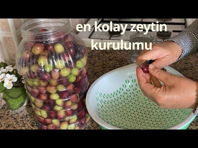 En Kolay Mor Zeytin Kurma Yöntemi /  ZEYTİN Salamura Nasıl Yapılır