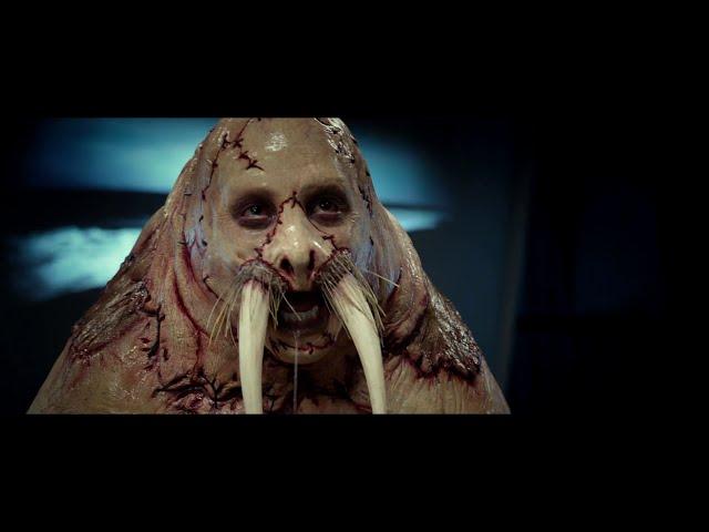 Walrus Learns To Swim Scene - Tusk (2014) HD