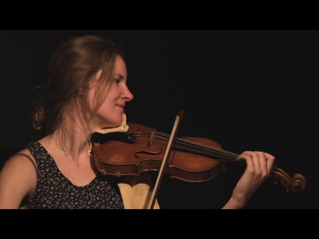 Bombay Dog - North Sea String Quartet