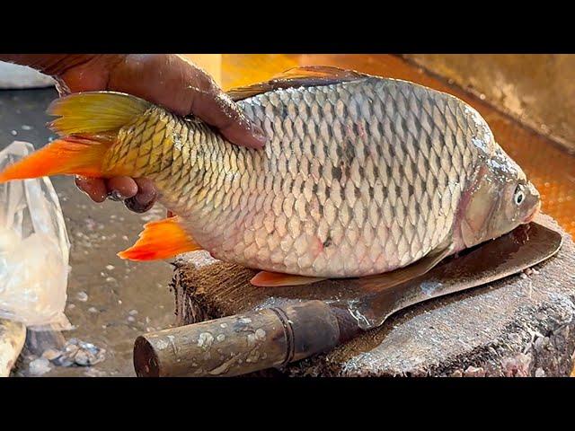 Amazing Big Carp Fish Cutting & Chopping By Expert Fish Cutter | Fish Cutting Skills