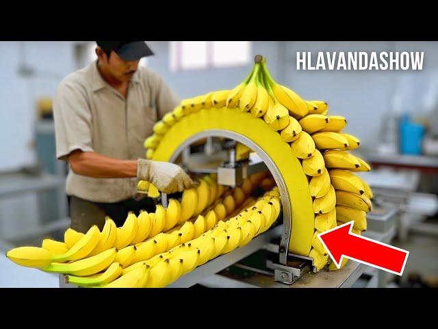 Factories Use Food Machines You've Never Seen - Incredible Modern Food Processing
