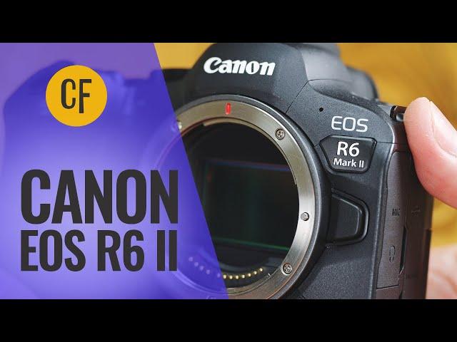 Canon EOS R6 II camera review