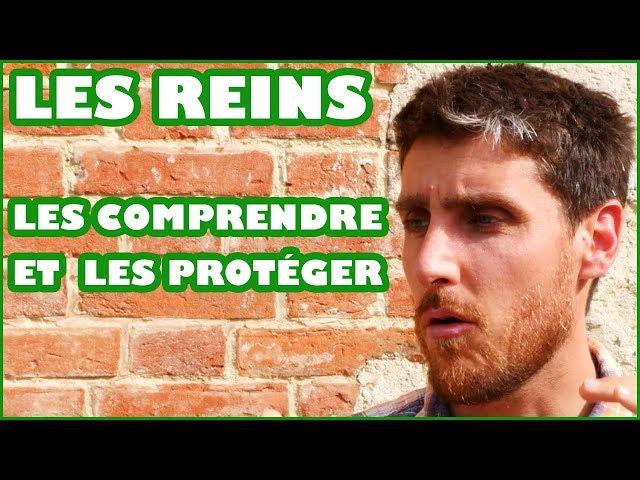 LES REINS : PROTÉGEONS-LES !