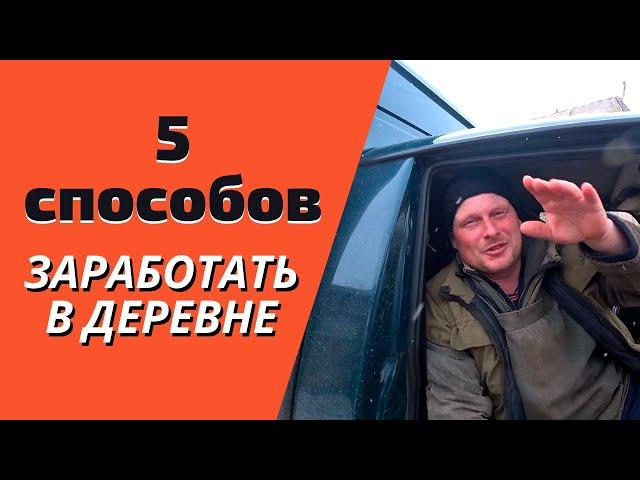 Заработок в деревне. 5 способов заработать деньги в деревне. Вьетнамские свиньи-вес в 15 дней.