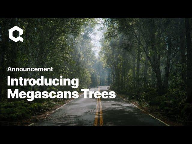 Introducing: Megascans Trees