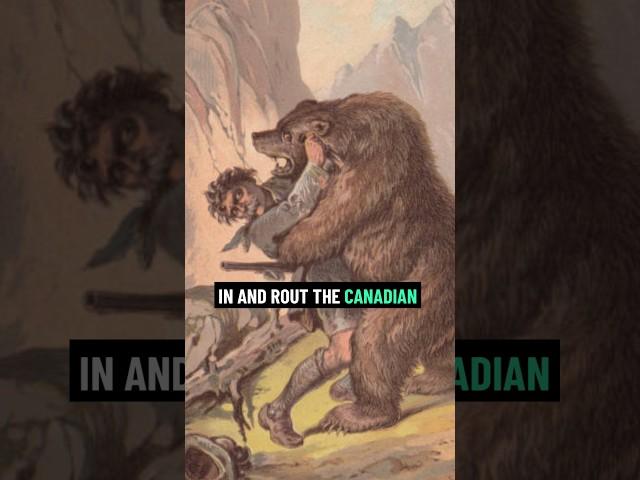 Bizarre History: When Bears Beat Canada