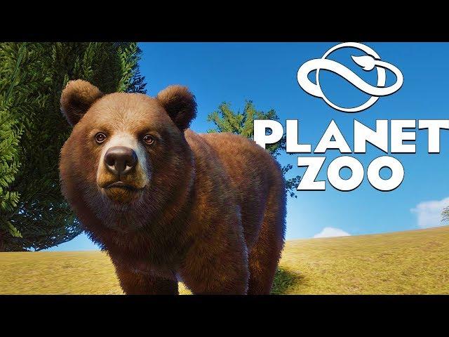 Finally A Successfuly Franchise Zoo! Grizzly Bear Babies! Planet Zoo Beta Gameplay Part 2