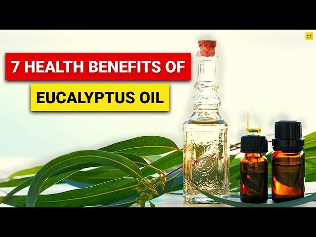 7 Health Benefits of Eucalyptus Oil that You Must Know! Credihealth