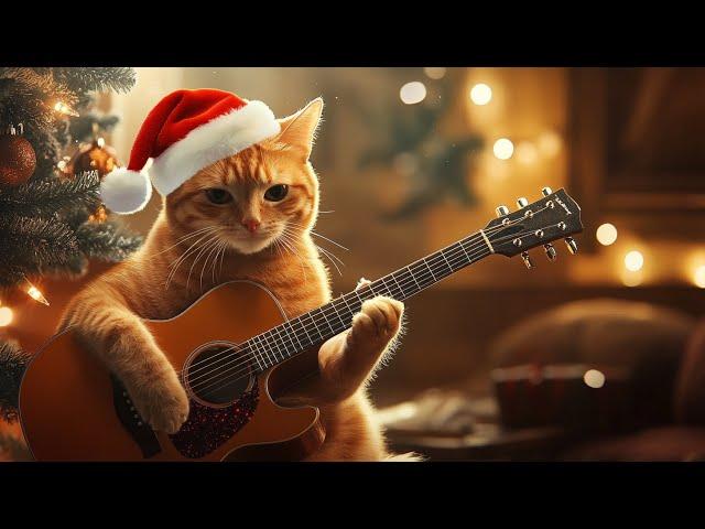 Coming Home for Christmas – Beautiful CHRISTMAS SONG 