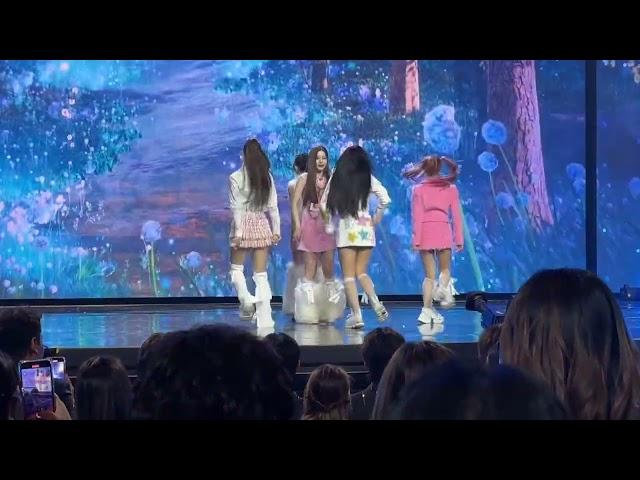 Mnet MAMA US 11/22/24 Illit performs Magnetic (Fancam)