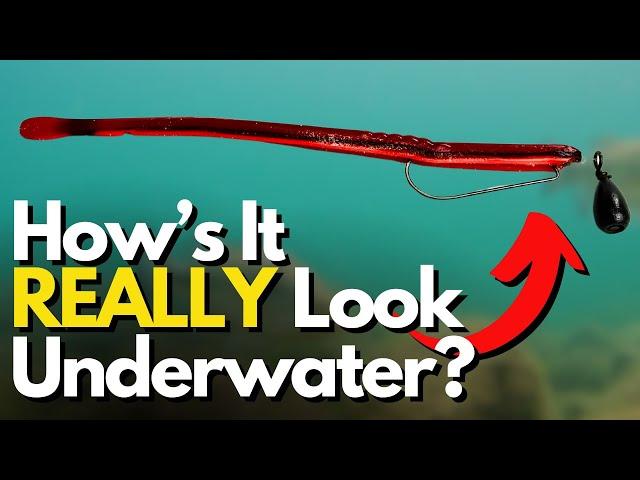 What Does the Free Rig REALLY Do Underwater? - See 3 Different Lures