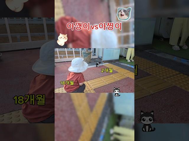 길에서 만난 처음보는 생명체 너..키..키엽다 귀여운두놈️️ #아기고양이#아깽이#길고양이#첫만남#고양이