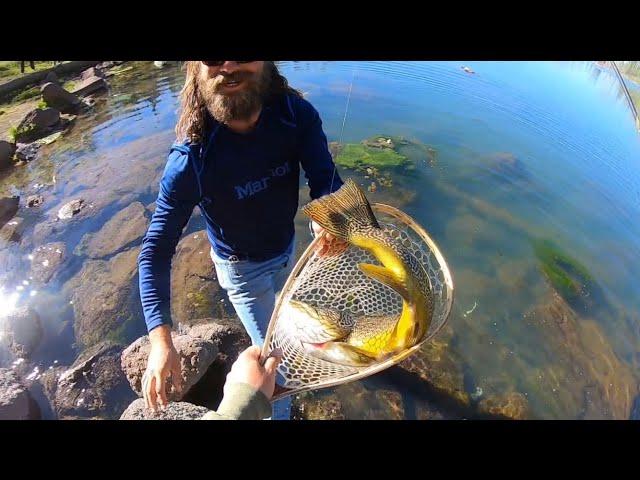 Catching a TIGER TROUT of a LIFETIME!! (He Won’t Fit in the Net!!)