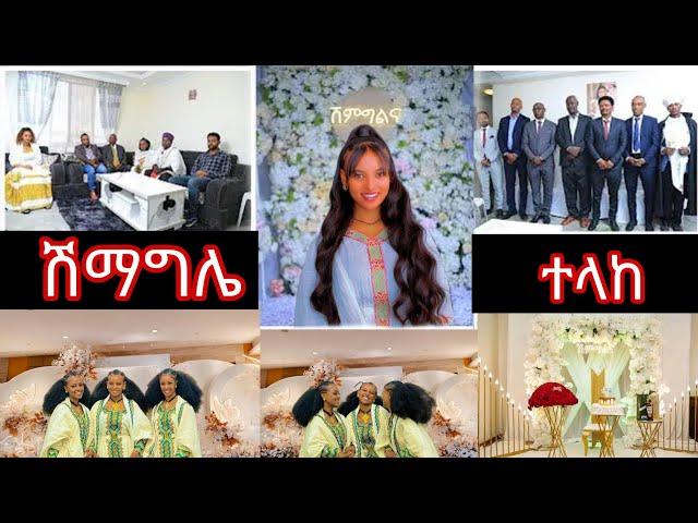 ሽምግልና  tsge royal  dani royal  abresh tube ruta tube