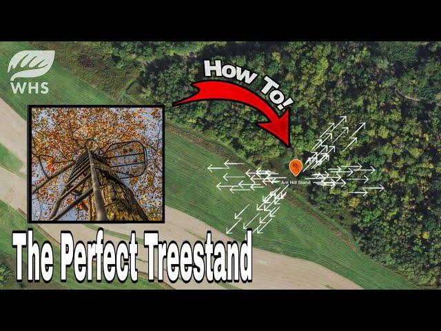 The Perfect Treestand Setup For Bowhunting Whitetails