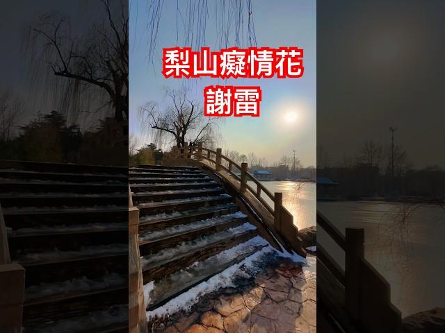 謝雷 名曲「梨山癡情花」️️️️️️