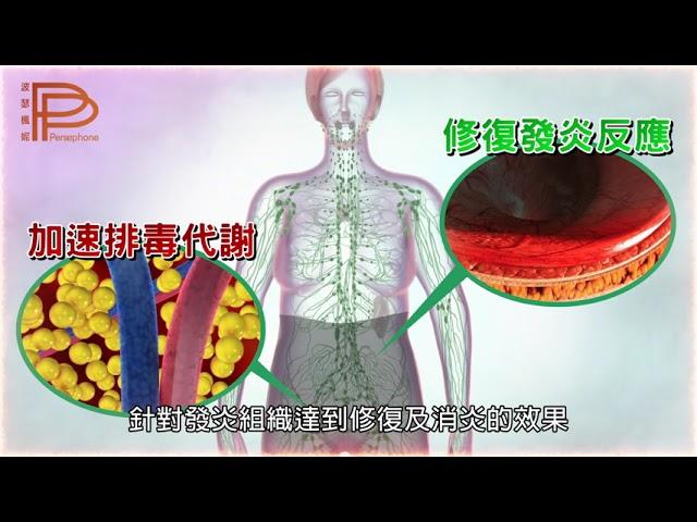 PP石墨烯塑崩褲 | 石墨烯黑科技原理