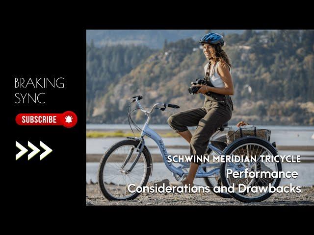 Schwinn Meridian Tricycle: Performance Considerations and Drawbacks #amazon #review