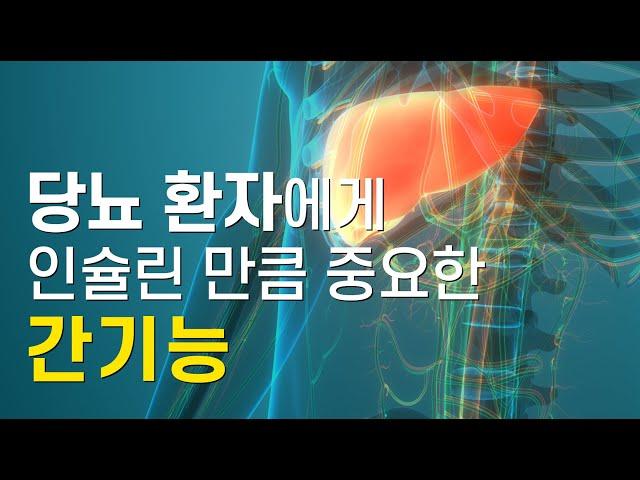 당뇨환자에게 간기능이 중요한 이유 - 인슐린유사성장인자