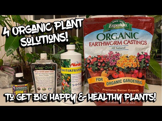 4 Great Organic Solutions To Get Plants Growing & Keep Them Happy!