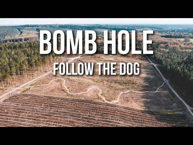 Bomb Hole on Follow the Dog, Cannock Chase