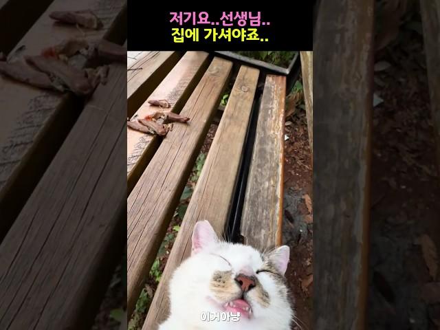 저기요 선생님 집에 가셔야,,