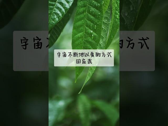 金钱财富肯定句 | 正能量 | 吸引力法則 | 激勵人生