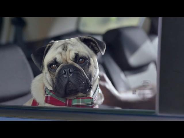 2018 Ford Everest 7 Seater 'Free Your SUV' Ad @ Binks Ford