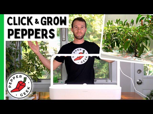 Growing Peppers In The Click And Grow 9 (Start to Finish) - Pepper Geek