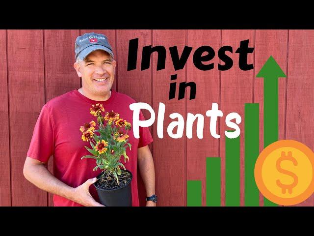 Investing in plants can put MONEY in your pockets!!