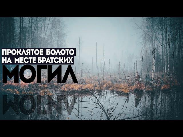 БАГРОВОЕ БОЛОТО. Ужасы. Мистика. Страшные рассказы